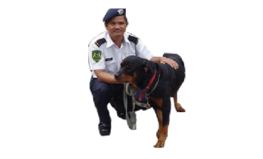service img